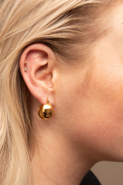 Sarah's Wishes Earrings