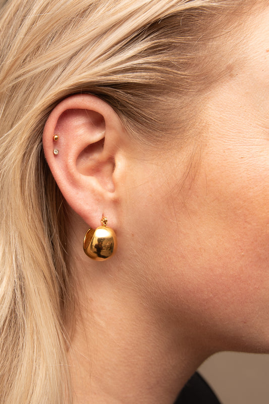 Sarah's Wishes Earrings